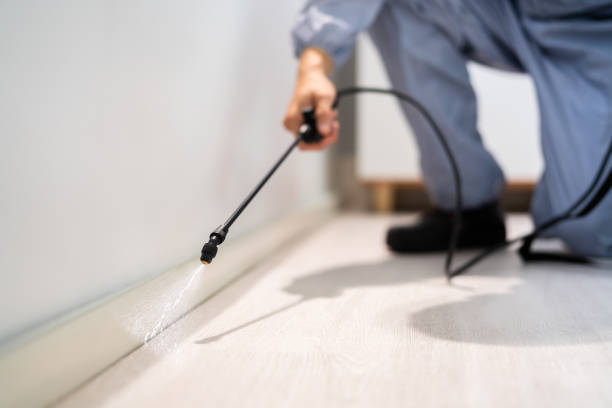 Professional exterminator conducting IPM assessment in Monticello